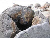 Albums/20060200-New Zealand 2006/20060315-Moeraki/11